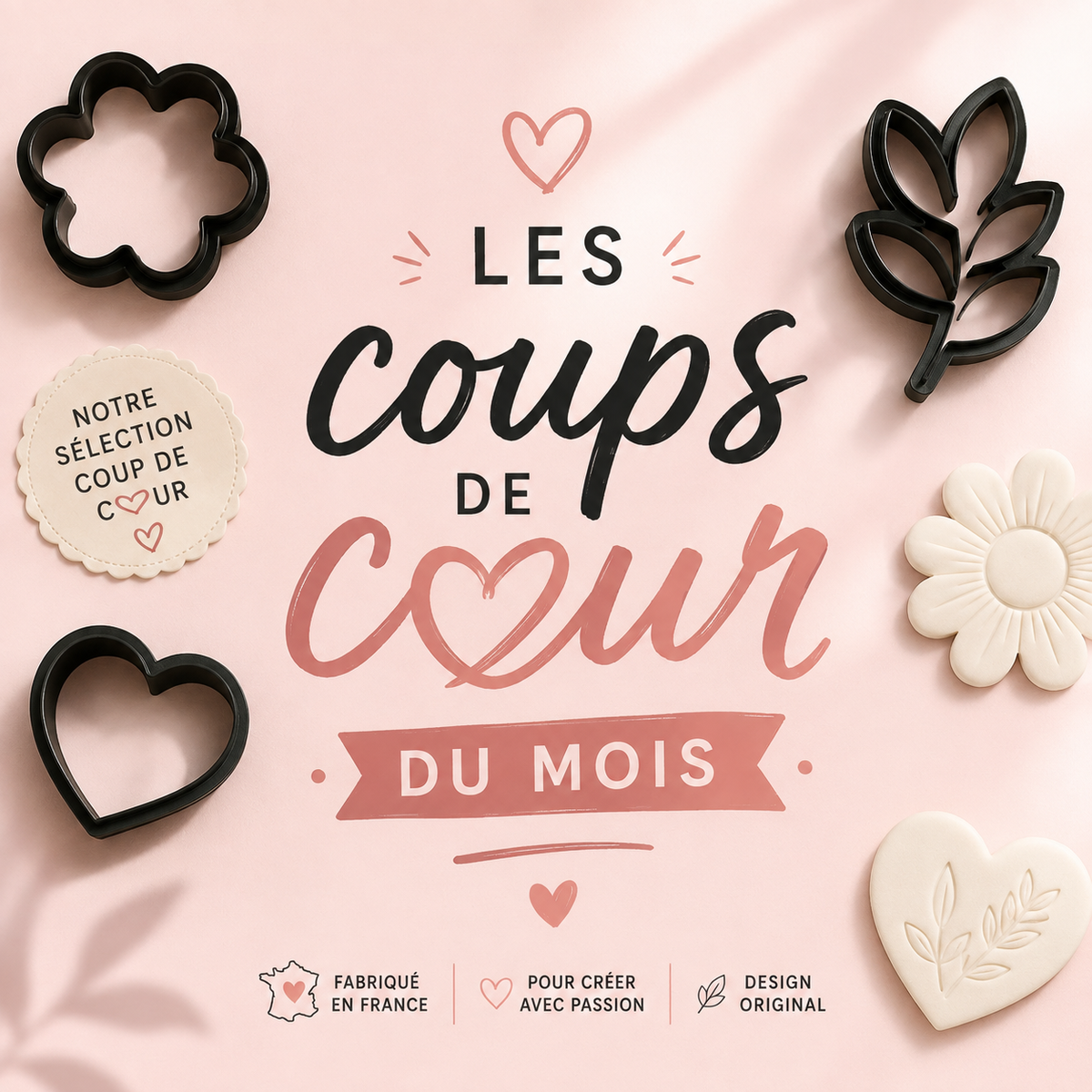 Les coups de cœur du mois