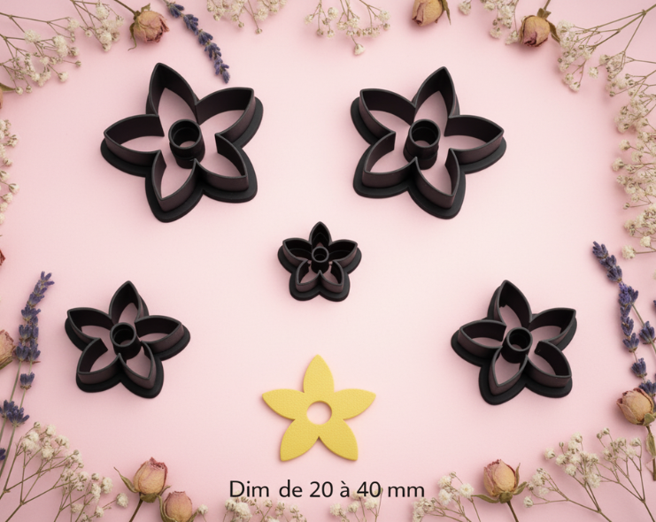 Emporte-pièce fleur ajourée 5 pétales étoile pour bijoux DIY – 5 tailles de 20 à 40 mm – fabriqué en France. EP-51
