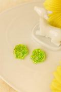 Pampilles Lime Shell