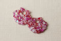 Pampilles Pink shell